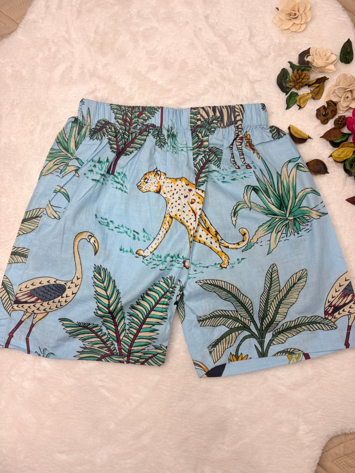 Wild Safari Jaipur Cotton Co-ord Set