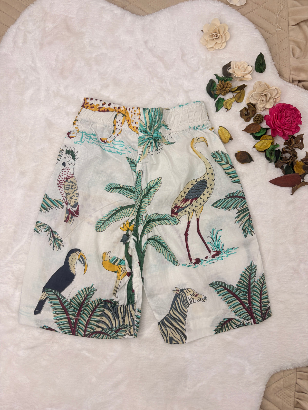 Wild Safari Jaipur Cotton Co-ord Set